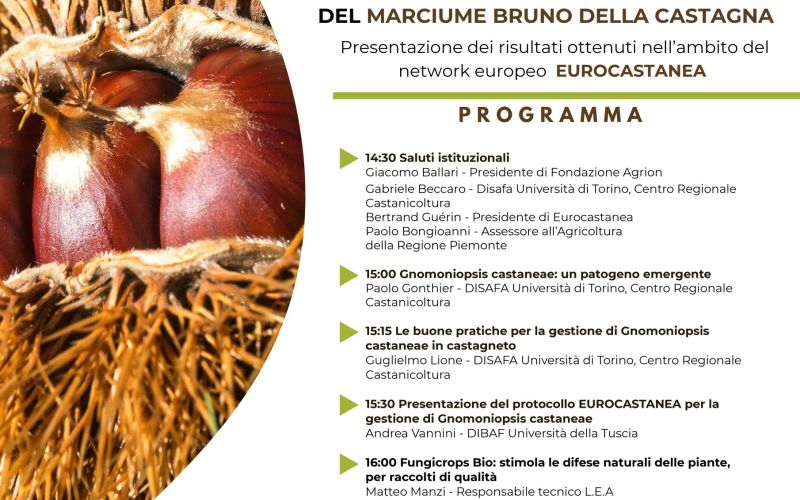PROTOCOLLO EUROPEO PER LA GESTIONE DEL MARCIUME BRUNO DELLA CASTAGNA – 16/05/2025 ore 14.30